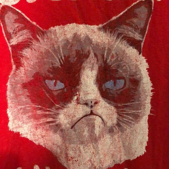 Grumpy Cat I Am Smiling Graphic Tee Shirt S - Picture 4 of 9